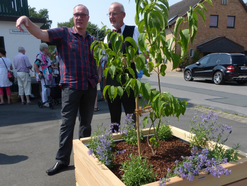 Weitere Blumenkübel